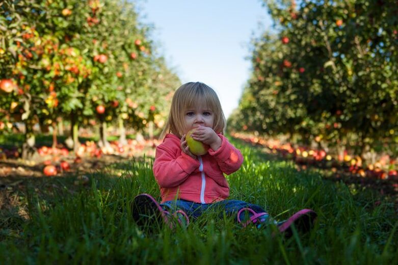 Children with diagnosis of diabetes mellitus can use ugly fruits